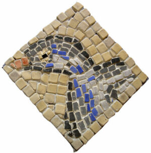 EA06 - CANARD