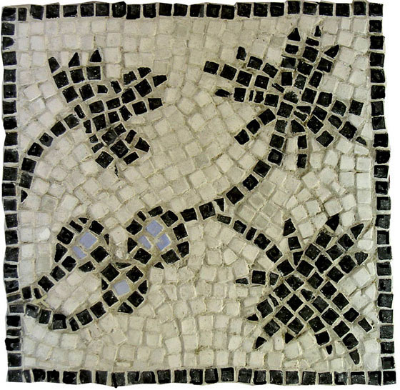 EAC3 - VIGNE