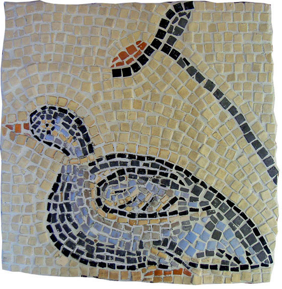 EAC6 - CANARD