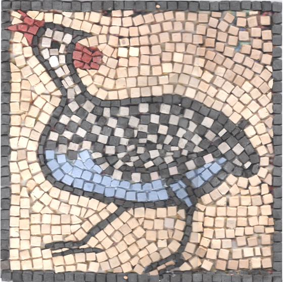 EACO - PINTADE