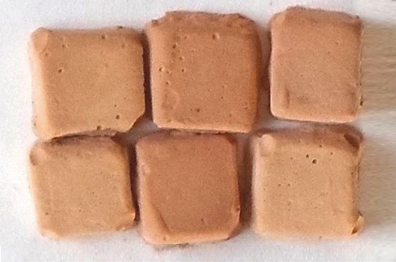 TEST - Lot de 500 tesselles vrac TERRE